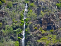 madeira 0051 : Portugal, PRT