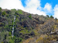 madeira 0052 : Portugal, PRT