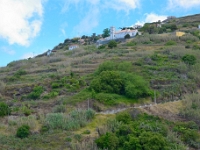 madeira 0053 : Portugal, PRT