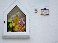 madeira 0058 : Portugal, PRT