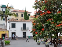madeira 0686 : Portugal, PRT