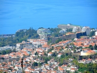 madeira 0768 : Portugal, PRT