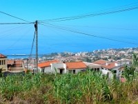 madeira 0769 : Portugal, PRT