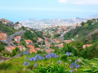 madeira 0770 : Portugal, PRT