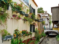 madeira 0912 : Portugal, PRT