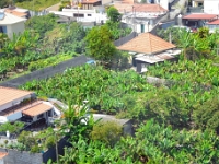 madeira 0950 : Portugal, PRT