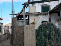madeira 0007 : Portugal, PRT