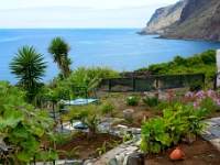 madeira 0019 : Portugal, PRT