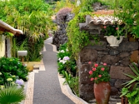 madeira 0021 : Portugal, PRT
