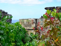 madeira 0031 : Portugal, PRT