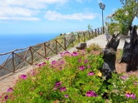 madeira 0068 : Portugal, PRT