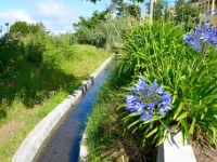 madeira 0116 : Portugal, PRT