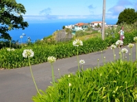 madeira 0120 : Portugal, PRT