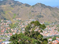 madeira 0549 : Portugal, PRT