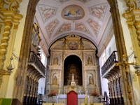 madeira 0557 : Portugal, PRT