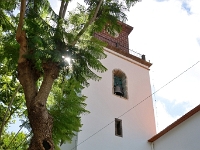 madeira 0565 : Portugal, PRT