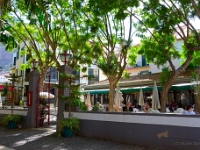 madeira 0587 : Portugal, PRT