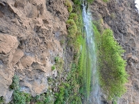 madeira 0230 : Portugal, PRT