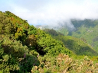 madeira 0208 : Portugal, PRT