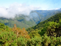 madeira 0210 : Portugal, PRT