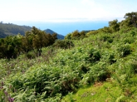 madeira 0212 : Portugal, PRT