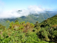 madeira 0220 : Portugal, PRT
