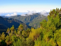 madeira 0223 : Portugal, PRT
