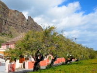 madeira 0098 : Portugal, PRT