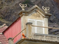 madeira 0102 : Portugal, PRT