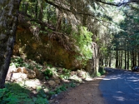 madeira 0771 : Portugal, PRT