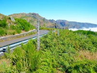 madeira 0774 : Portugal, PRT