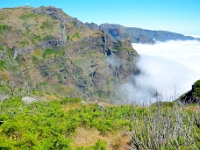 madeira 0775 : Portugal, PRT