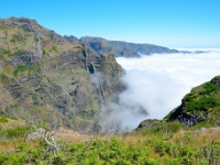 madeira 0776 : Portugal, PRT
