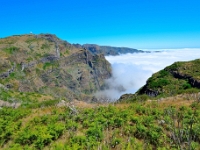 madeira 0777 : Portugal, PRT