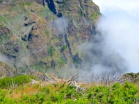 madeira 0778 : Portugal, PRT