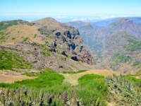madeira 0779 : Portugal, PRT