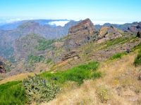 madeira 0780 : Portugal, PRT