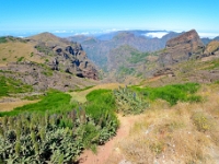 madeira 0781 : Portugal, PRT