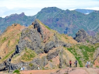 madeira 0786 : Portugal, PRT