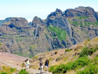 madeira 0788 : Portugal, PRT