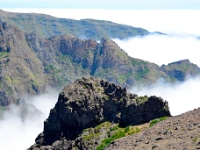 madeira 0790 : Portugal, PRT