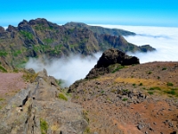 madeira 0792 : Portugal, PRT