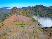 madeira 0793 : Portugal, PRT