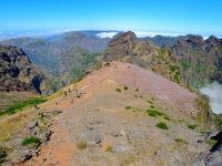 madeira 0795 : Portugal, PRT