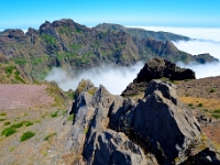 madeira 0796 : Portugal, PRT