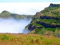 madeira 0805 : Portugal, PRT
