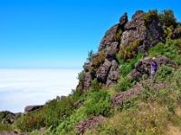 madeira 0811
