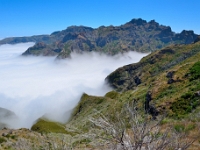 madeira 0813 : Portugal, PRT