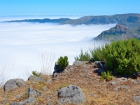 madeira 0814 : Portugal, PRT