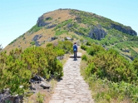 madeira 0818 : Portugal, PRT